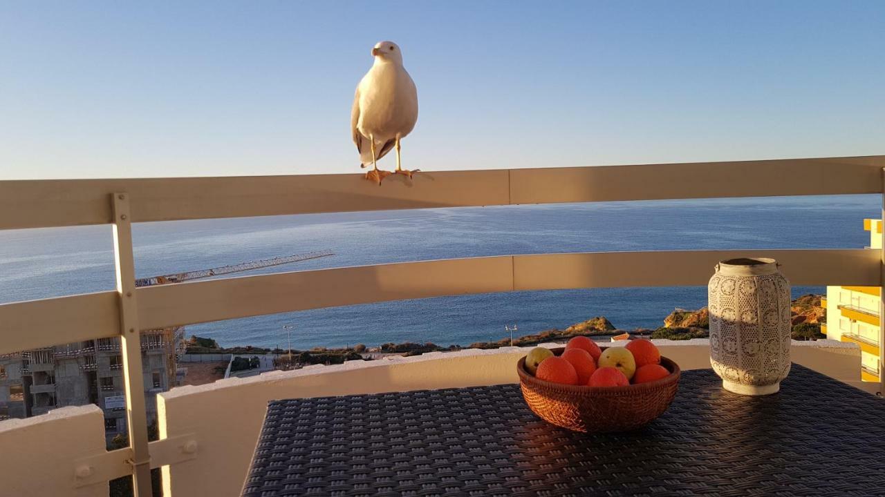 Ma Vue Mer En Algarve Portimão Kültér fotó